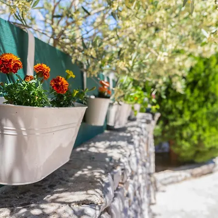 Charming Nika With The Pool Supetar